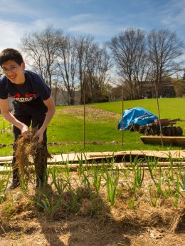 The St Andrew's Experience